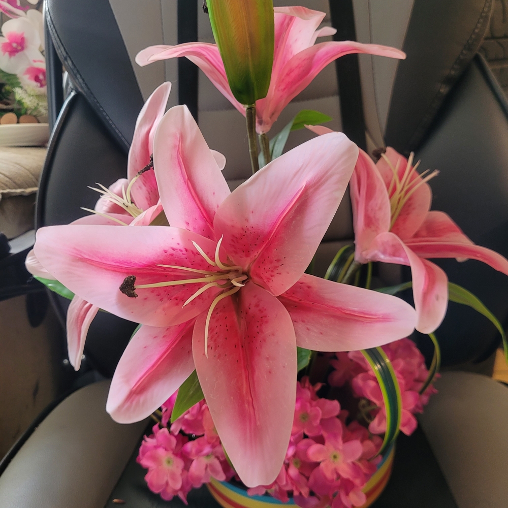 Vibrant Pink Lily Bouquet